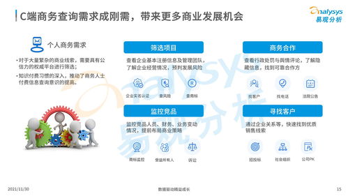中國(guó)商業(yè)查詢市場(chǎng)分析2021