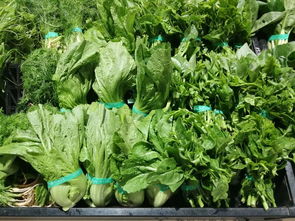 上周云南省生活必需品零售價(jià)格觀察 6漲1平5跌，新鮮蔬菜價(jià)格回落