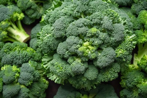 健康餐桌的綠色瑰寶 新鮮西藍(lán)花，從農(nóng)場(chǎng)直達(dá)您家